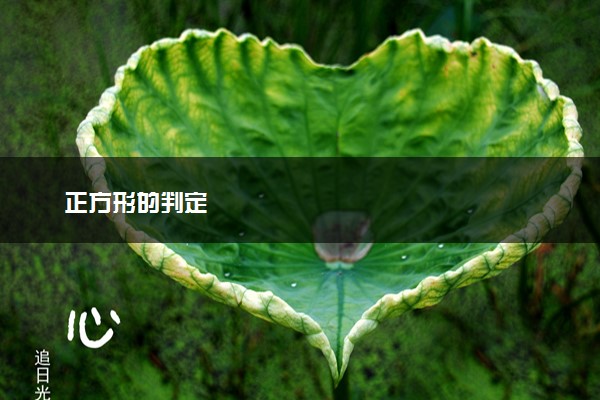 正方形的判定