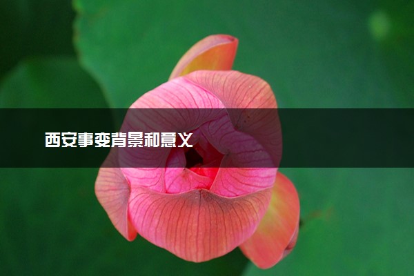 西安事变背景和意义