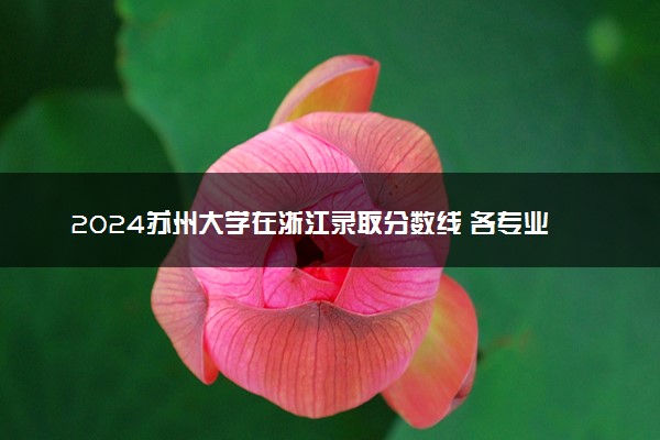 2024苏州大学在浙江录取分数线 各专业分数及位次