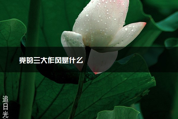 党的三大作风是什么