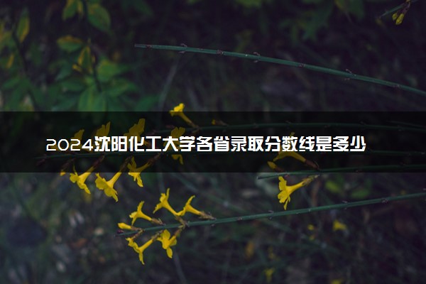 2024沈阳化工大学各省录取分数线是多少 最低分及位次