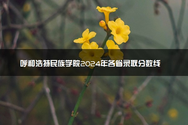 呼和浩特民族学院2024年各省录取分数线 多少分能考上