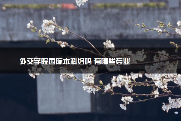 外交学院国际本科好吗 有哪些专业