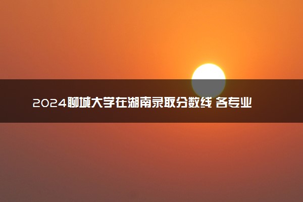 2024聊城大学在湖南录取分数线 各专业分数及位次