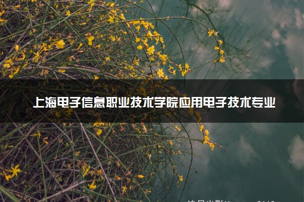 上海电子信息职业技术学院应用电子技术专业怎么样 录取分数线多少