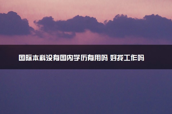 国际本科没有国内学历有用吗 好找工作吗