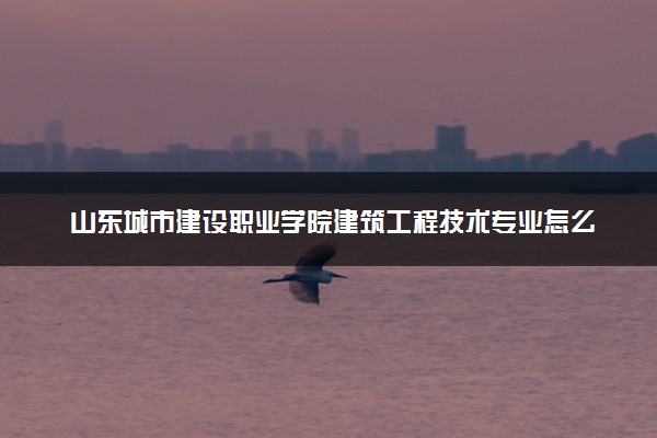 山东城市建设职业学院建筑工程技术专业怎么样 录取分数线多少