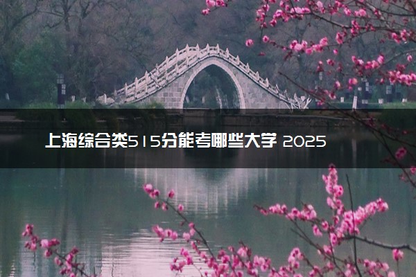 上海综合类515分能考哪些大学 2025考生稳上的大学名单