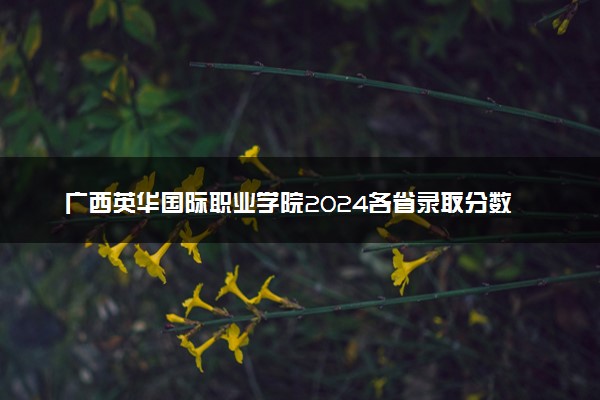 广西英华国际职业学院2024各省录取分数线及最低位次是多少