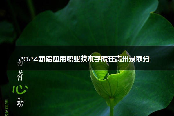 2024新疆应用职业技术学院在贵州录取分数线 各专业分数及位次