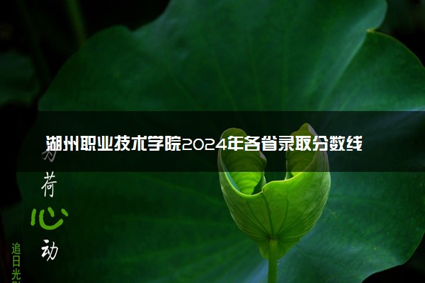 湖州职业技术学院2024年各省录取分数线 多少分能考上
