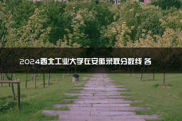 2024西北工业大学在安徽录取分数线 各专业分数及位次