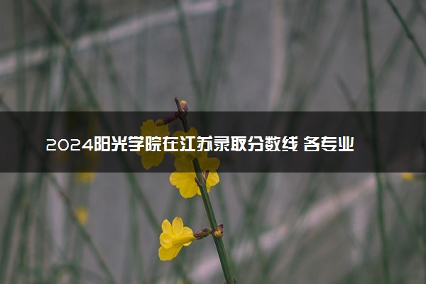 2024阳光学院在江苏录取分数线 各专业分数及位次