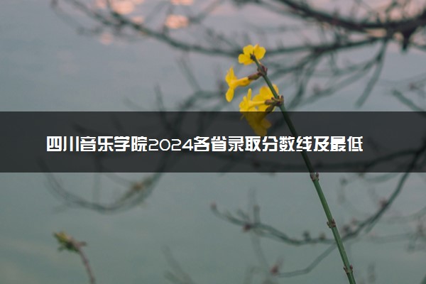 四川音乐学院2024各省录取分数线及最低位次是多少