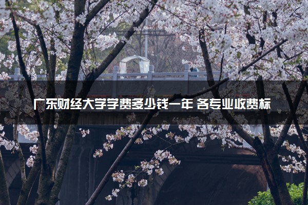 广东财经大学学费多少钱一年 各专业收费标准（2025年参考）
