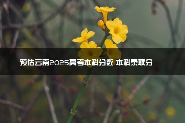 预估云南2025高考本科分数 本科录取分数线预测多少分
