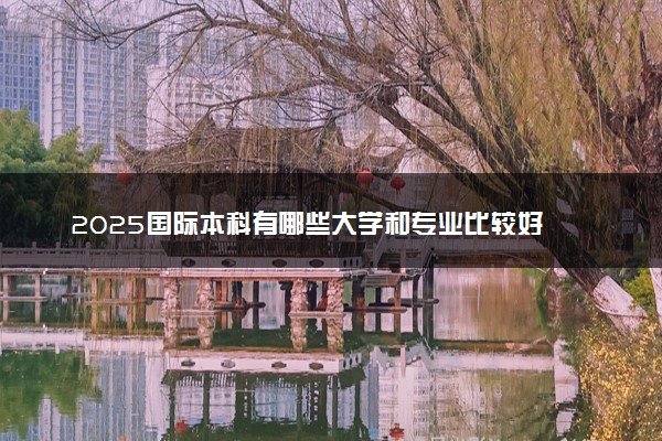 2025国际本科有哪些大学和专业比较好