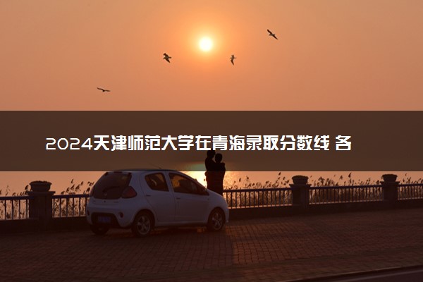 2024天津师范大学在青海录取分数线 各专业分数及位次