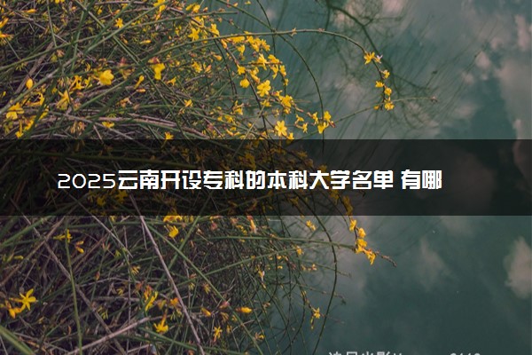 2025云南开设专科的本科大学名单 有哪些专业