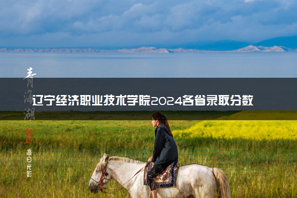 辽宁经济职业技术学院2024各省录取分数线及最低位次是多少