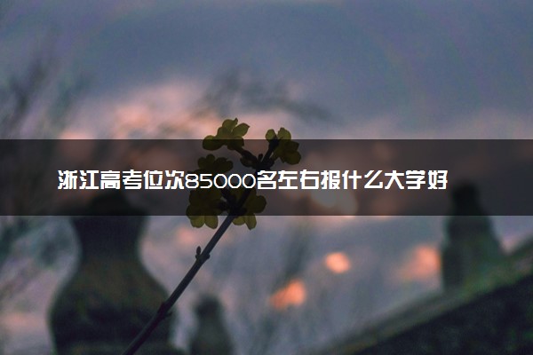 浙江高考位次85000名左右报什么大学好（2025年参考）