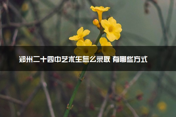 郑州二十四中艺术生怎么录取 有哪些方式