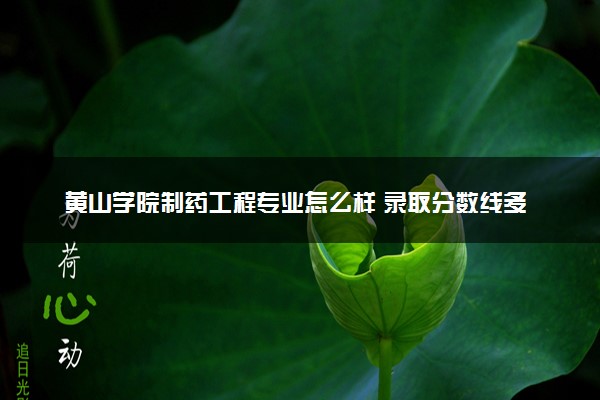黄山学院制药工程专业怎么样 录取分数线多少