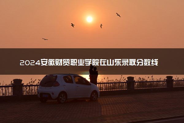 2024安徽财贸职业学院在山东录取分数线 各专业分数及位次