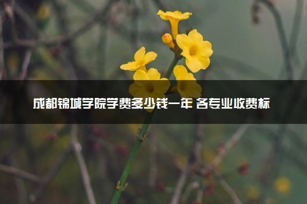 成都锦城学院学费多少钱一年 各专业收费标准（2025年参考）