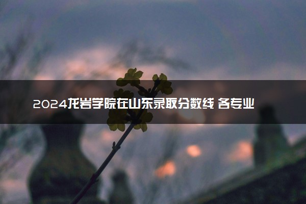 2024龙岩学院在山东录取分数线 各专业分数及位次