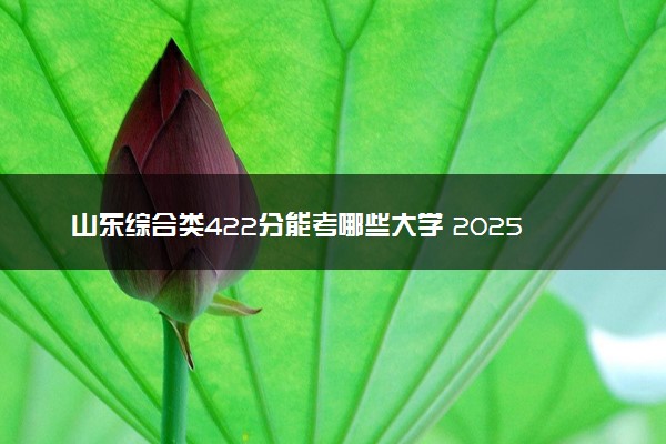 山东综合类422分能考哪些大学 2025考生稳上的大学名单