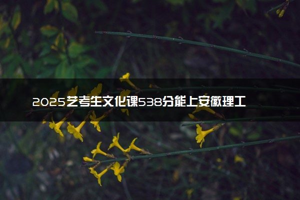 2025艺考生文化课538分能上安徽理工大学吗