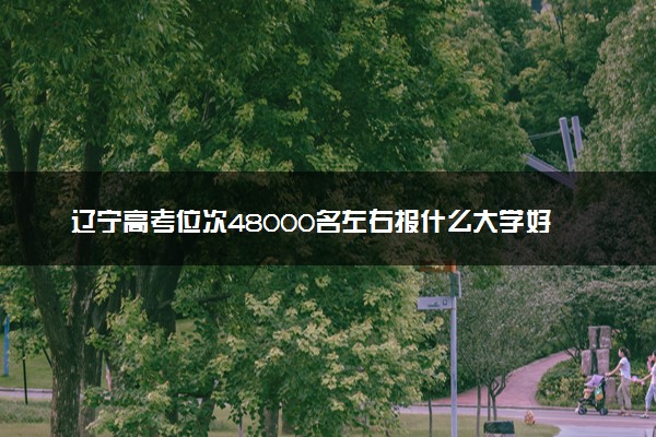 辽宁高考位次48000名左右报什么大学好（2025年参考）