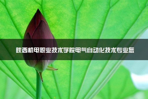 陕西机电职业技术学院电气自动化技术专业怎么样 录取分数线多少
