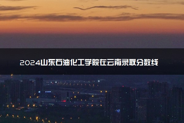 2024山东石油化工学院在云南录取分数线 各专业分数及位次