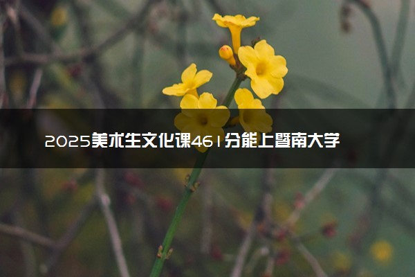 2025美术生文化课461分能上暨南大学吗