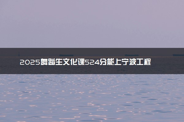 2025舞蹈生文化课524分能上宁波工程学院吗