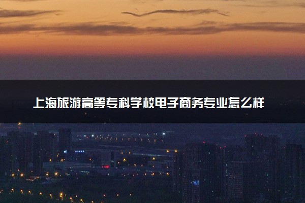 上海旅游高等专科学校电子商务专业怎么样 录取分数线多少