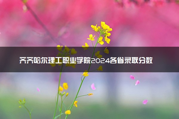 齐齐哈尔理工职业学院2024各省录取分数线及最低位次是多少