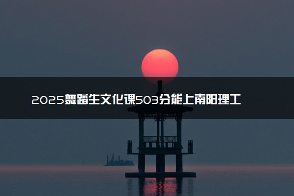 2025舞蹈生文化课503分能上南阳理工学院吗