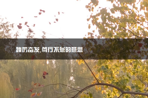 踔厉奋发,笃行不怠的意思