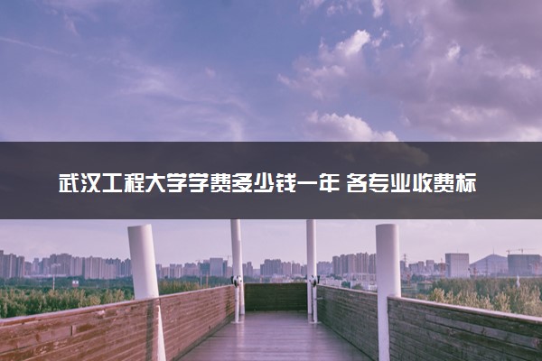 武汉工程大学学费多少钱一年 各专业收费标准（2025年参考）