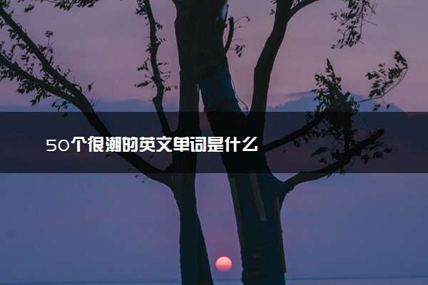 50个很潮的英文单词是什么