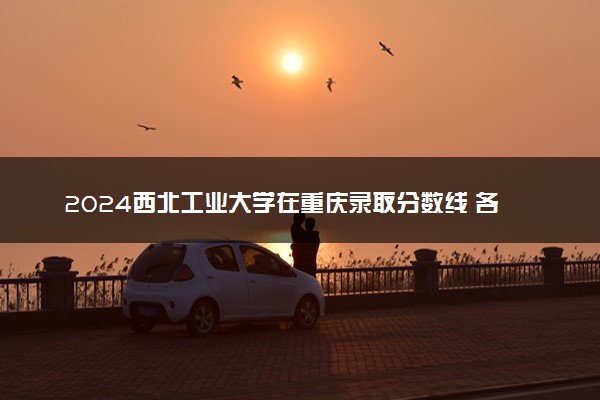2024西北工业大学在重庆录取分数线 各专业分数及位次