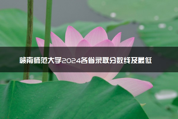 赣南师范大学2024各省录取分数线及最低位次是多少