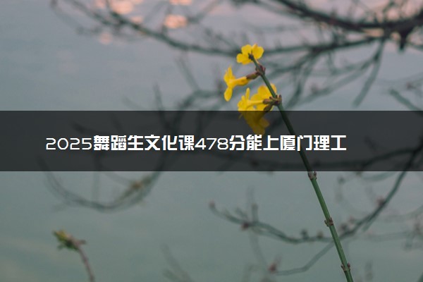 2025舞蹈生文化课478分能上厦门理工学院吗