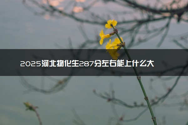 2025河北物化生287分左右能上什么大学 可以报考的院校名单