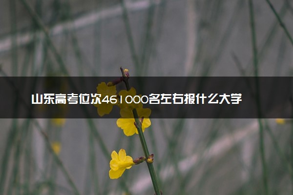 山东高考位次461000名左右报什么大学好（2025年参考）