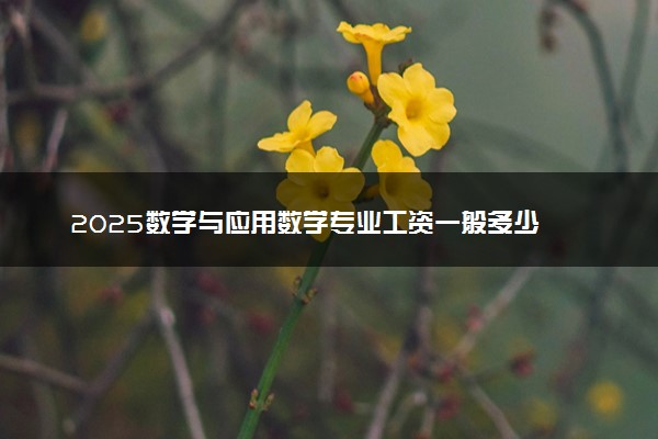 2025数学与应用数学专业工资一般多少 好找工作吗