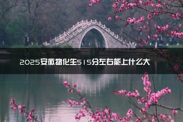 2025安徽物化生515分左右能上什么大学 可以报考的院校名单